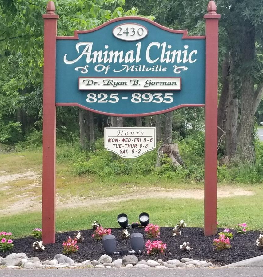 About Our Veterinary Hospital in Millville | Veterinarians ...